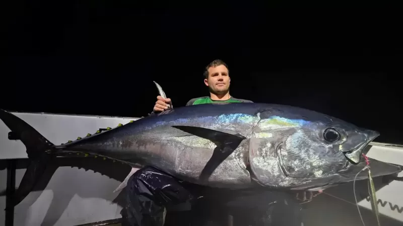 Huge-Bluefin-Pelagic-Charters