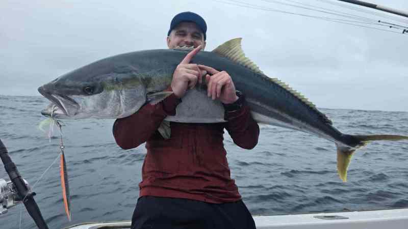 Incredible-3-kings-kingi-off-Pelagic