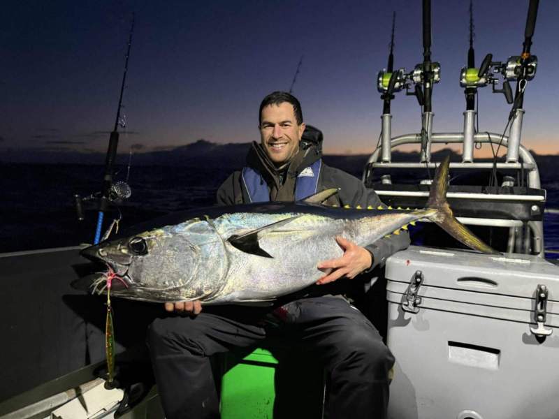 JCJIGS-Glow-Green-Gold-Timmos-fish