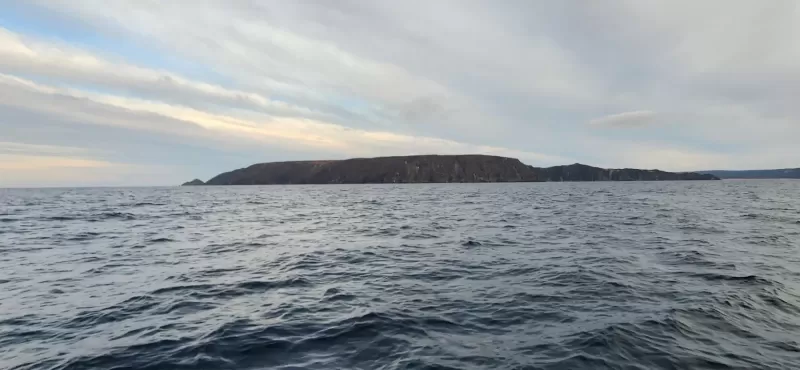 Top-of-New-Zealand