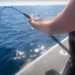 JcJigs - Jake Blair Si John Jigging for Kingfish 2