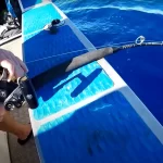 the one that got away twice 1