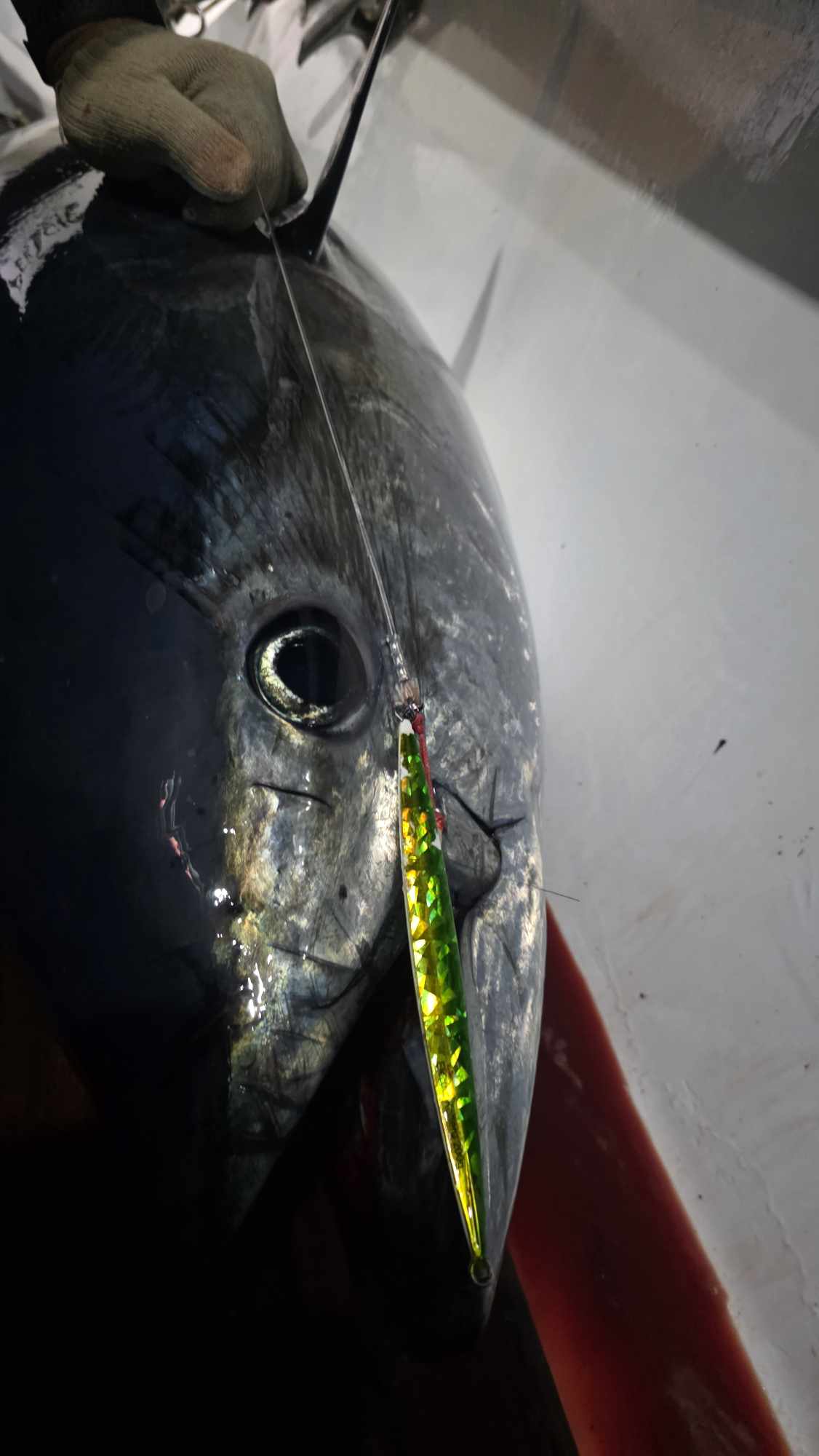 JCJIGS <br>Electric Koheru Rattle Jig <br><h4>Glow Green Gold <br>Kingfish - Hapuka - Tuna</h4> - Image 4