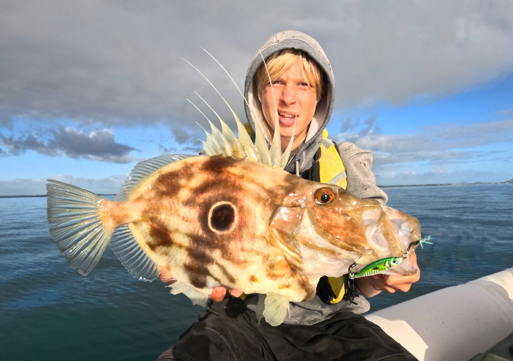 Lure Logic